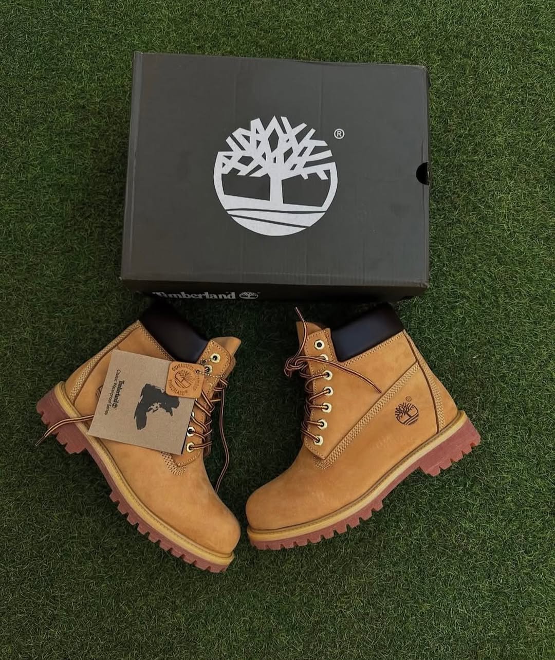 Timberlands