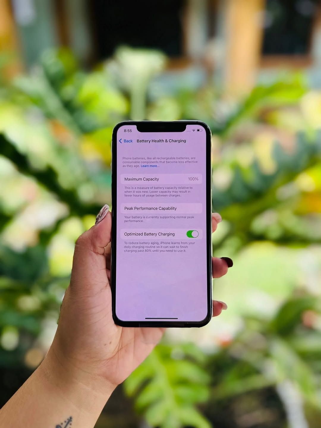 iPhone X ( New )