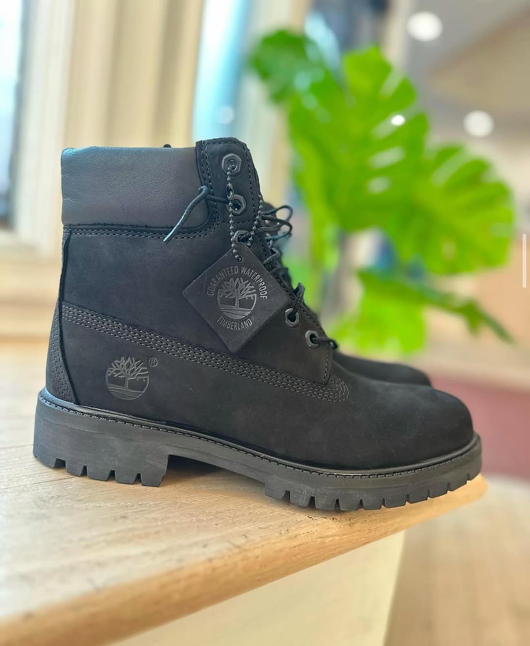 Timberlands