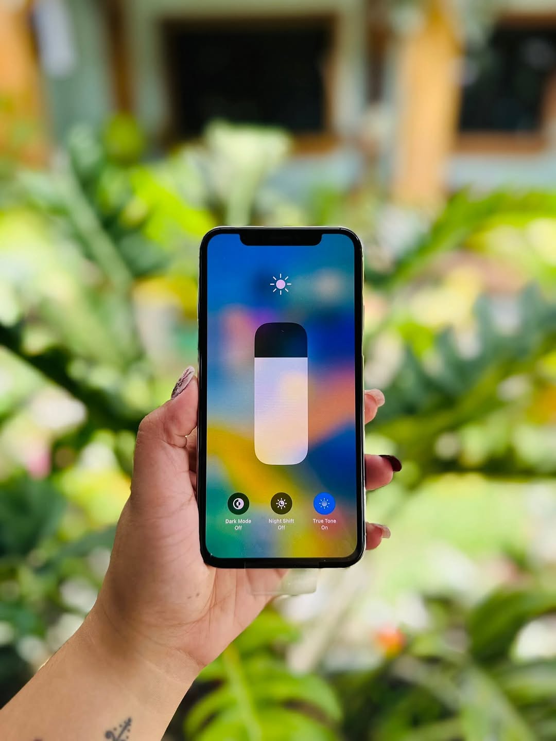 iPhone X ( New )