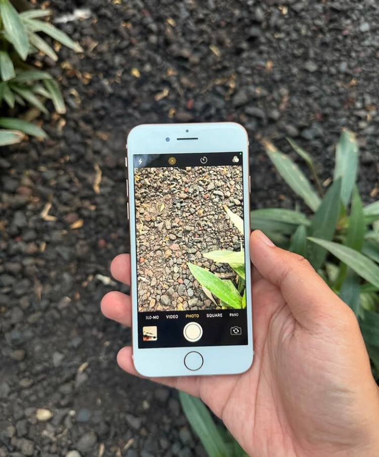 IPHONE 8 (CPO)