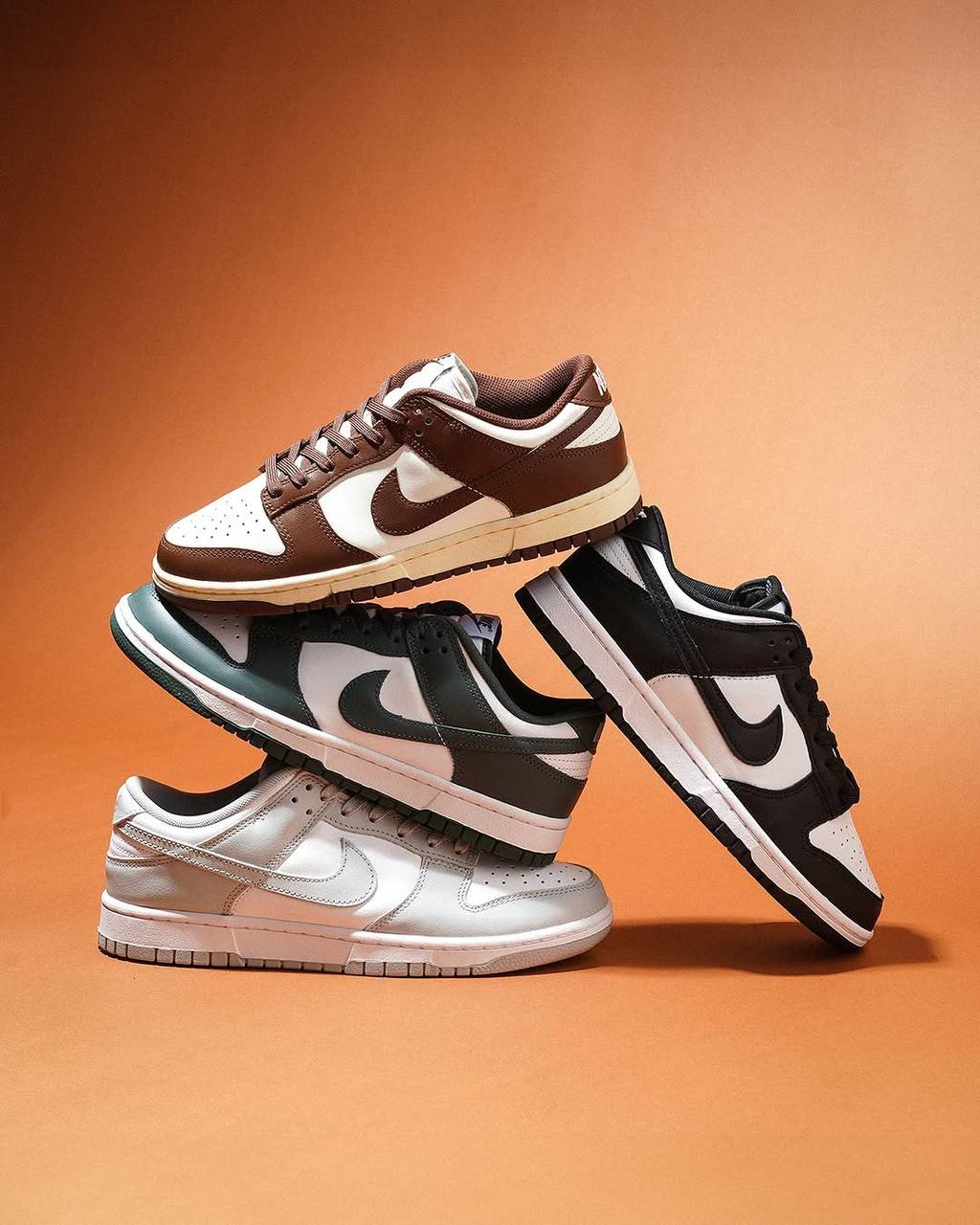 Nike Dunk Low Top