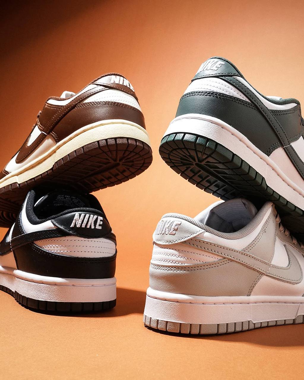 Nike Dunk Low Top