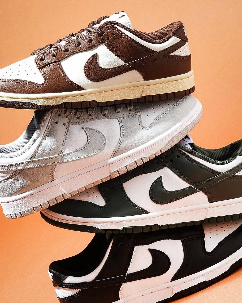Nike Dunk Low Top